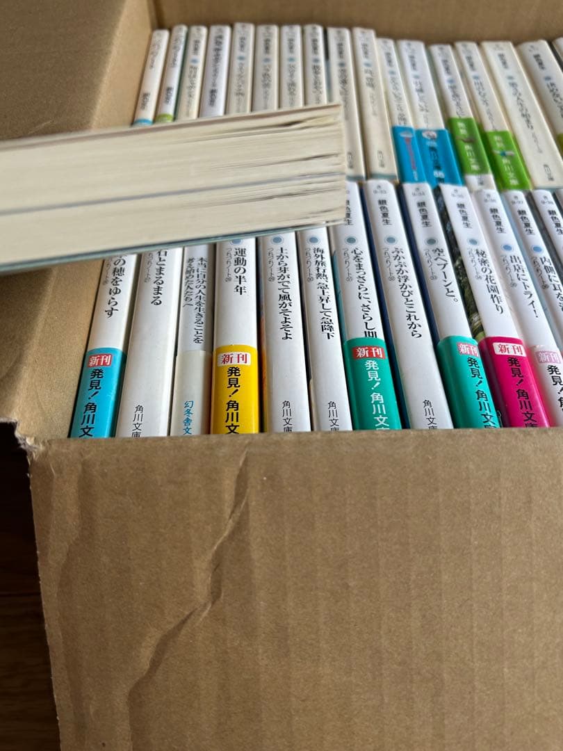 銀色夏生　つれづれノート1〜44巻（41〜43抜け）他、まとめ売り55冊セット