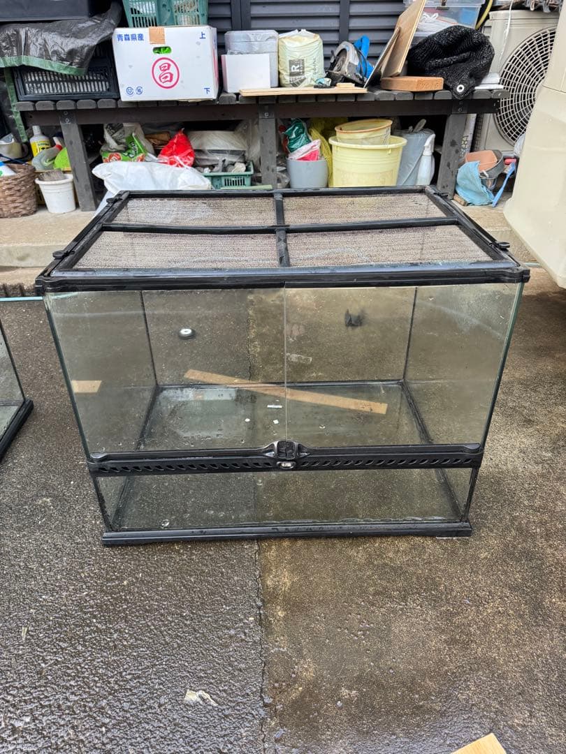 グラステラリウム　6045