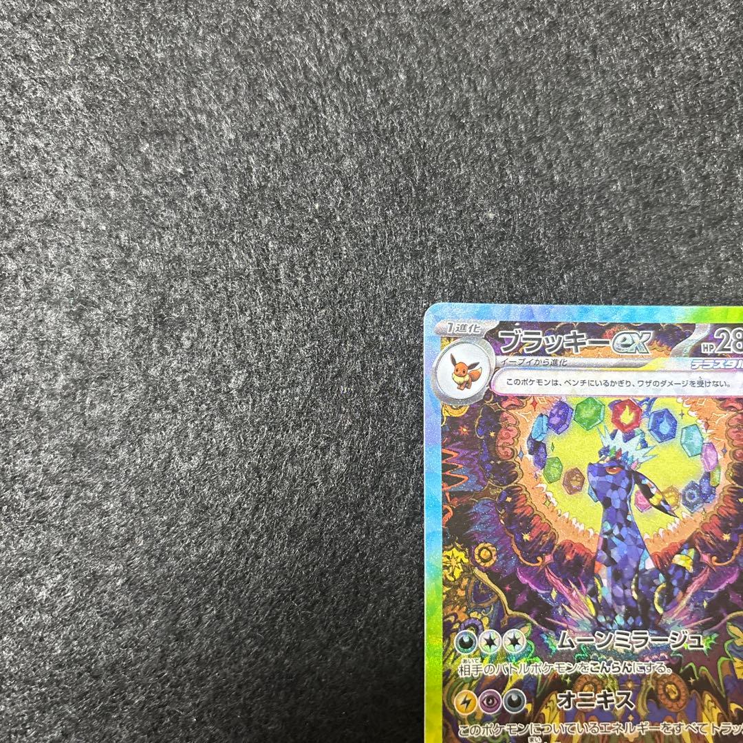 専用　ミモザ　ブラッキー