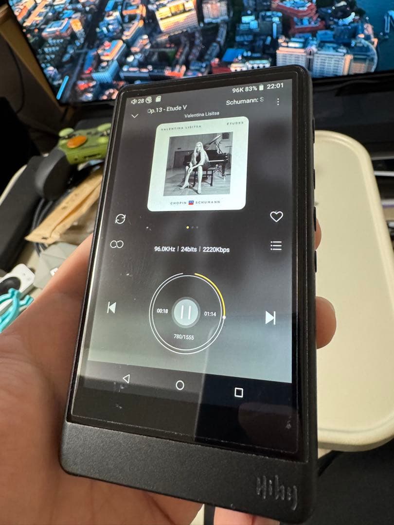 Hiby R6 Pro DSD対応 デジタルオーディオプレーヤー