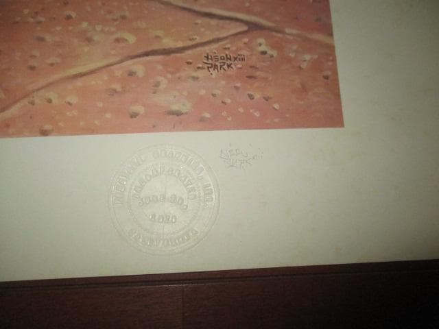 その他 little feat neon park down on the farm