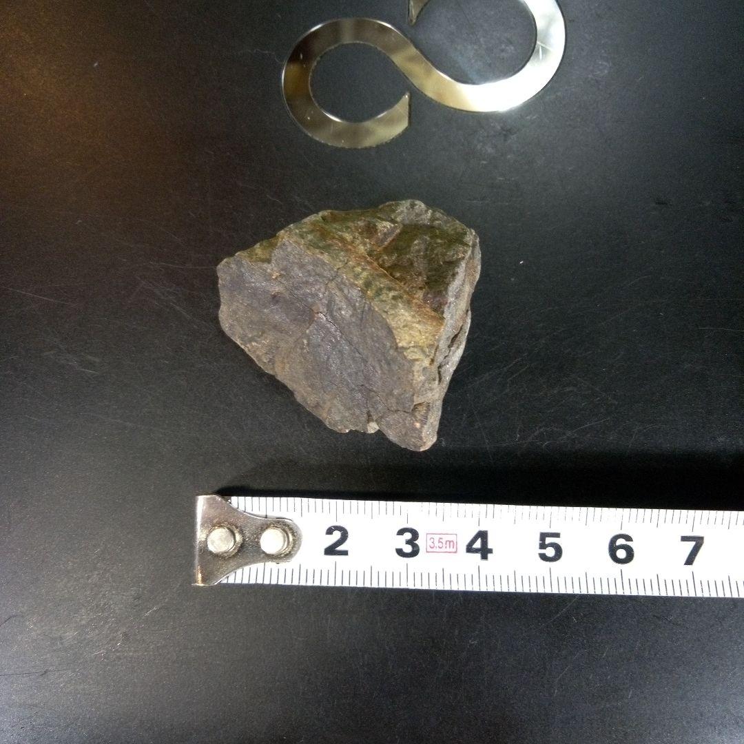 三葉虫　化石　ボリビア産　南アメリカ　trilobite　南米産fossil⑧