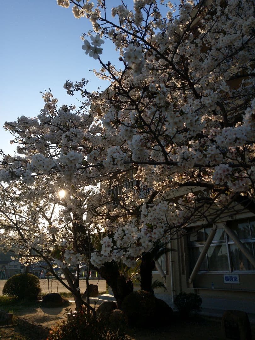 オリジナルデザイン【お店、マーク、キャラ、看板、チームロゴ等
