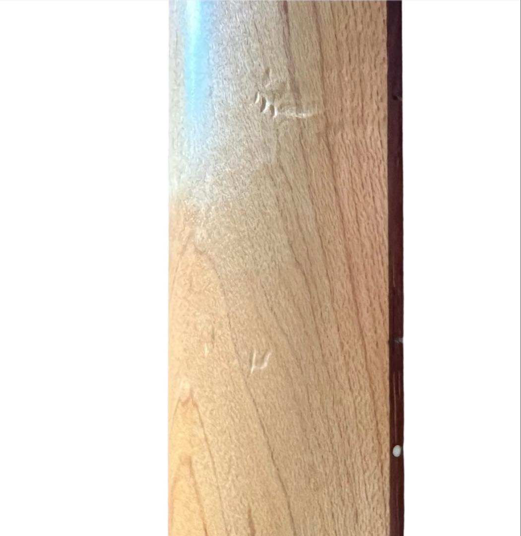 エレキギター FERNANDES