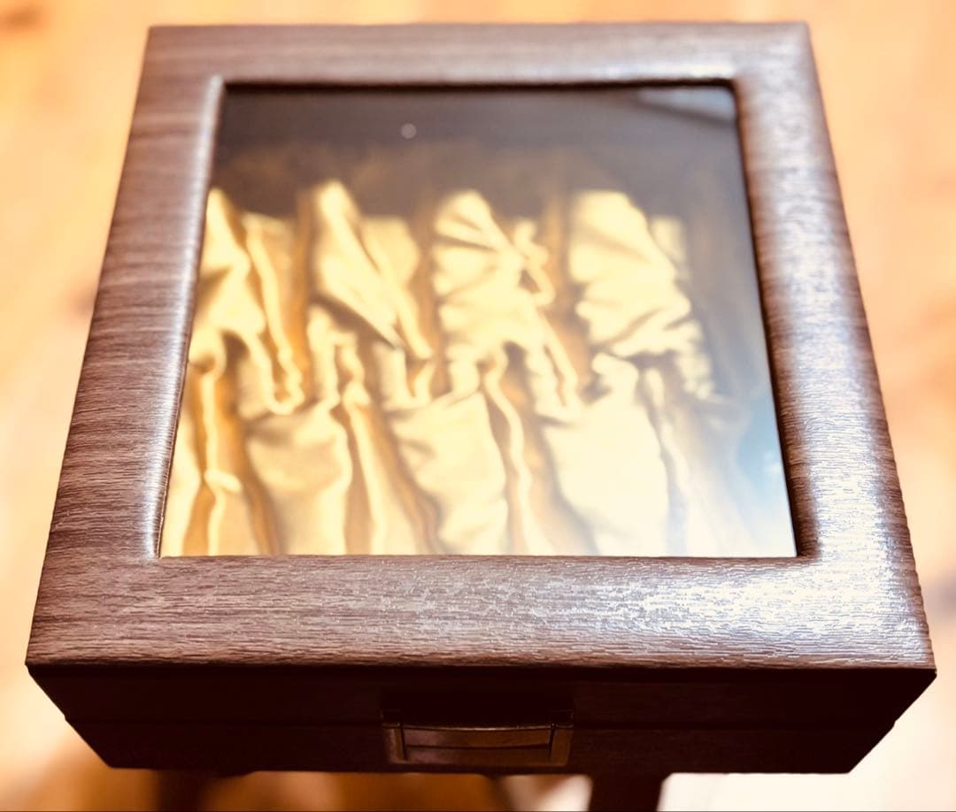 【新品】トランペットorホルンマウスピース収納ボックスケース（保管用）