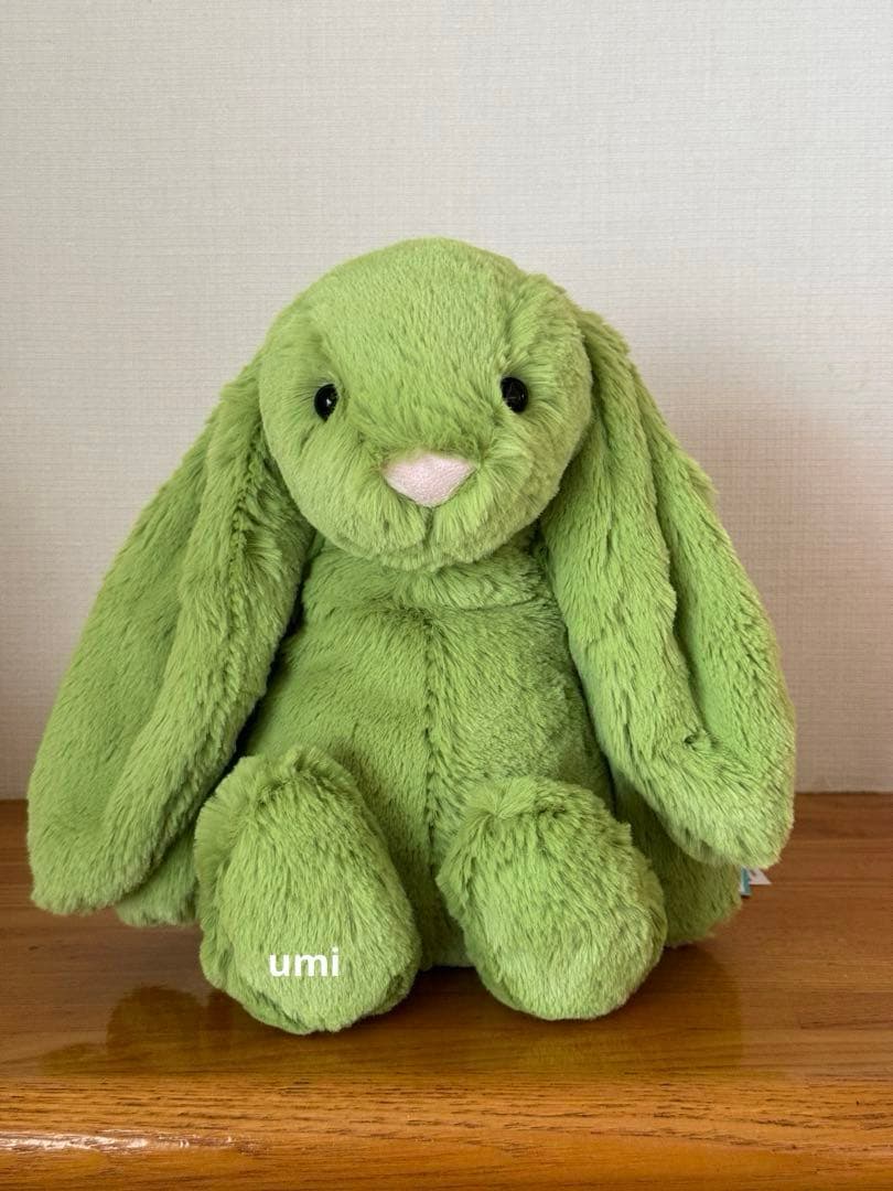 廃盤 希少 ジェリーキャット Apple Bunny Mサイズ 新品タグ付