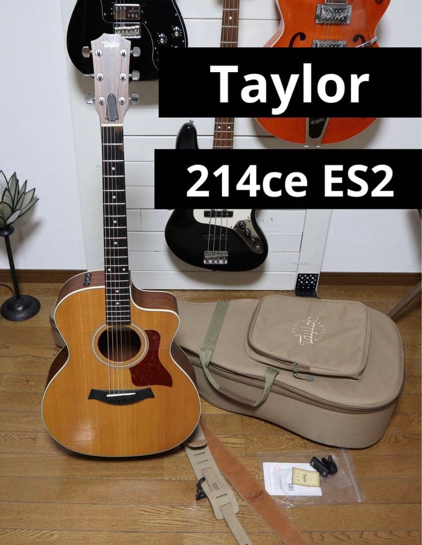 【送料込み】Taylor 214ce ES2 エレアコ 本革ストラップ ケース