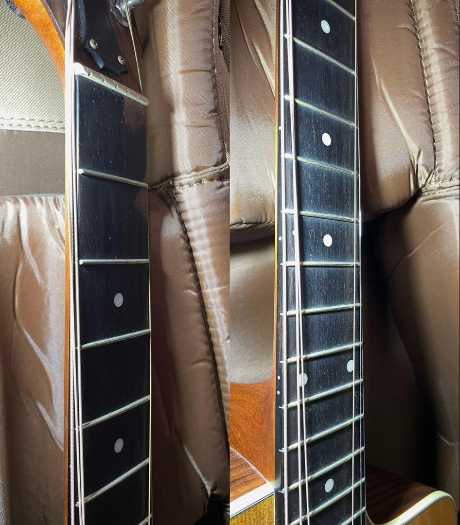 【送料込み】Taylor 214ce ES2 エレアコ 本革ストラップ ケース