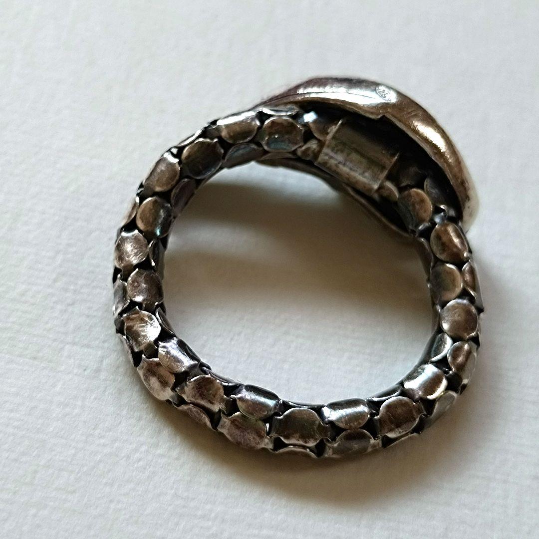 ア*マ様 アッシュペーフランス　イオッセリアーニ　チェーンリング　スネーク　シル