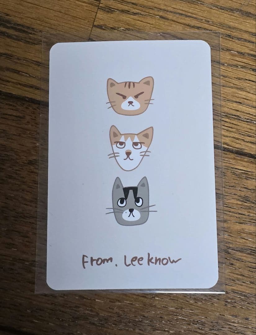 straykids スキズ popup リノ メンプロ スンドゥンドリ トレカ