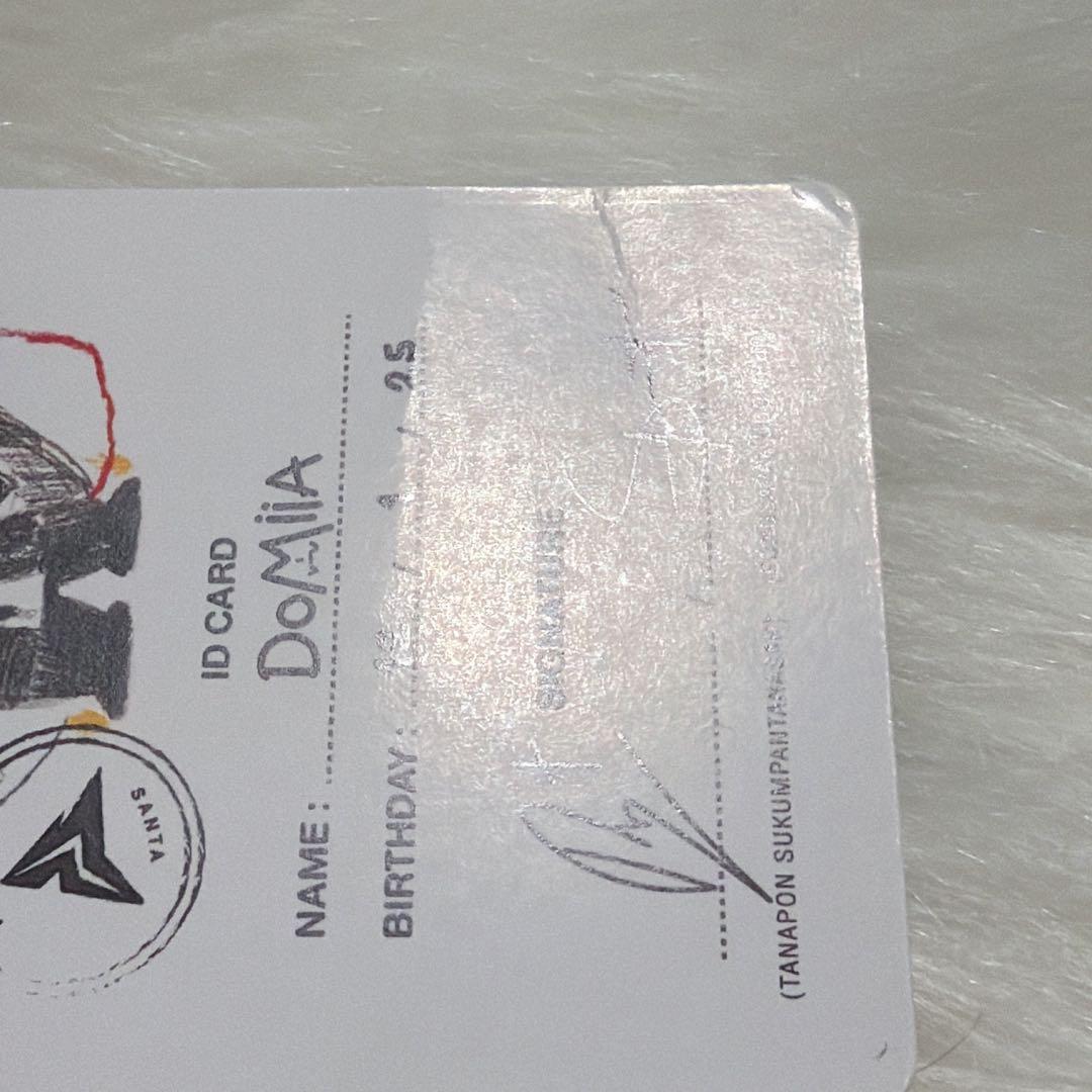 PerthSanta ぬいぐるみ アクスタ キーホルダー 落下物