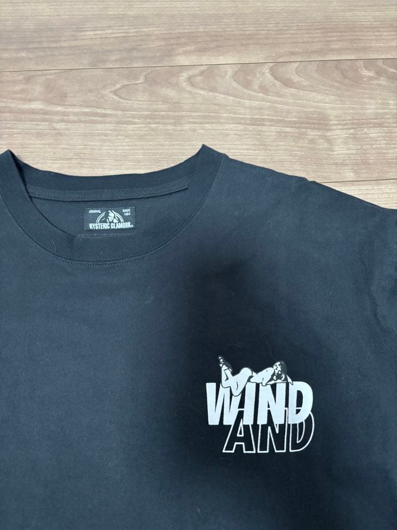 希少 状態よし　 wind and sea × ヒステリックグラマー ロンT