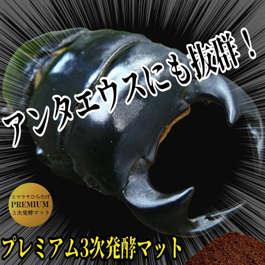アンタエウスに抜群！プレミアム3次発酵マット【40リットル】バクテリア強化配合