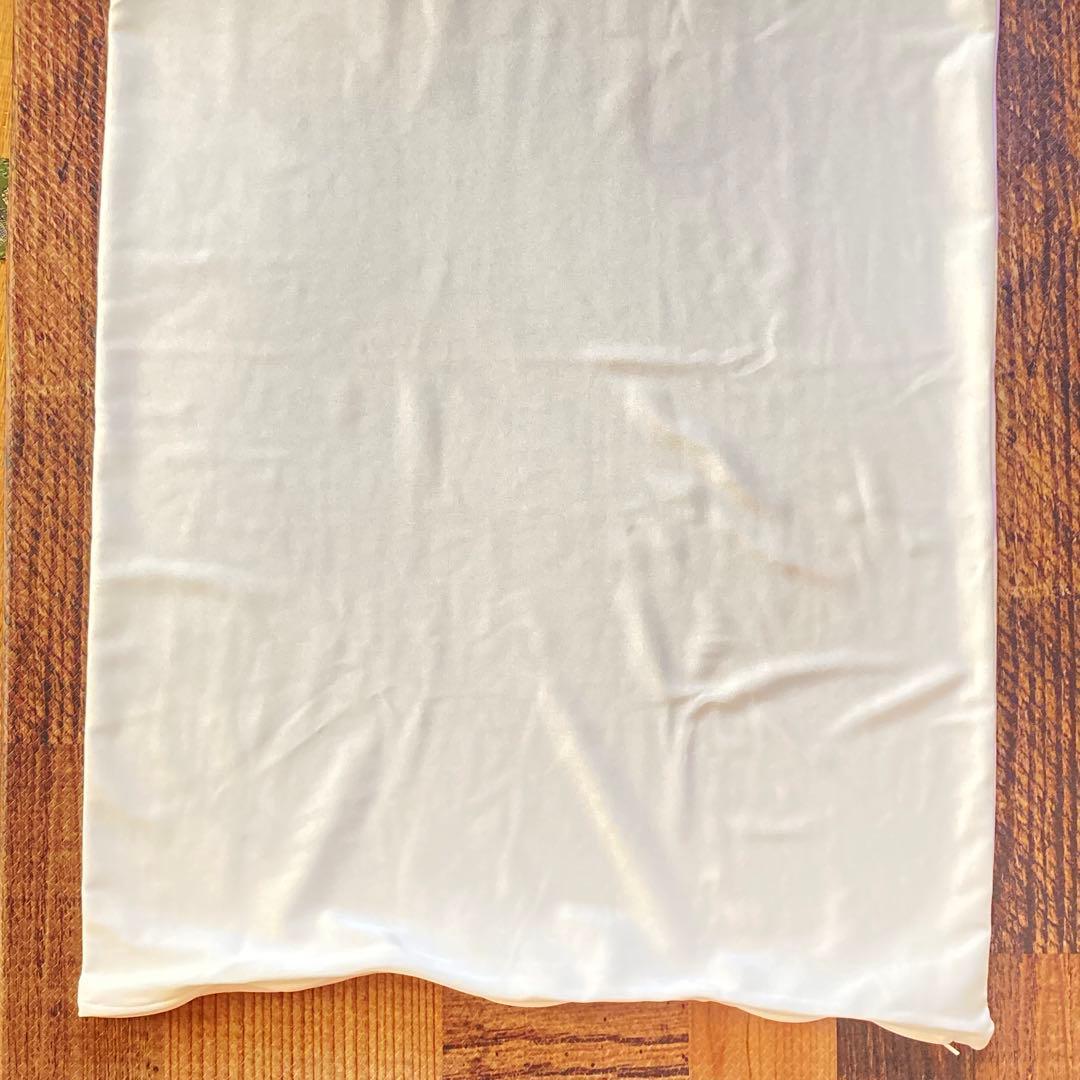 Blue Blaster アシュレイ ミチル 抱き枕カバー