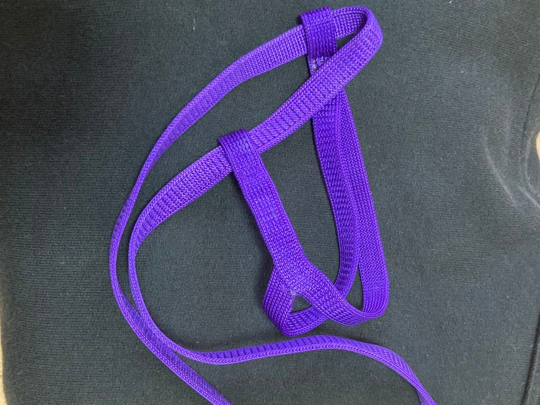 AVIATOR アビエーター バードハーネス パープル　紫　Lサイズ