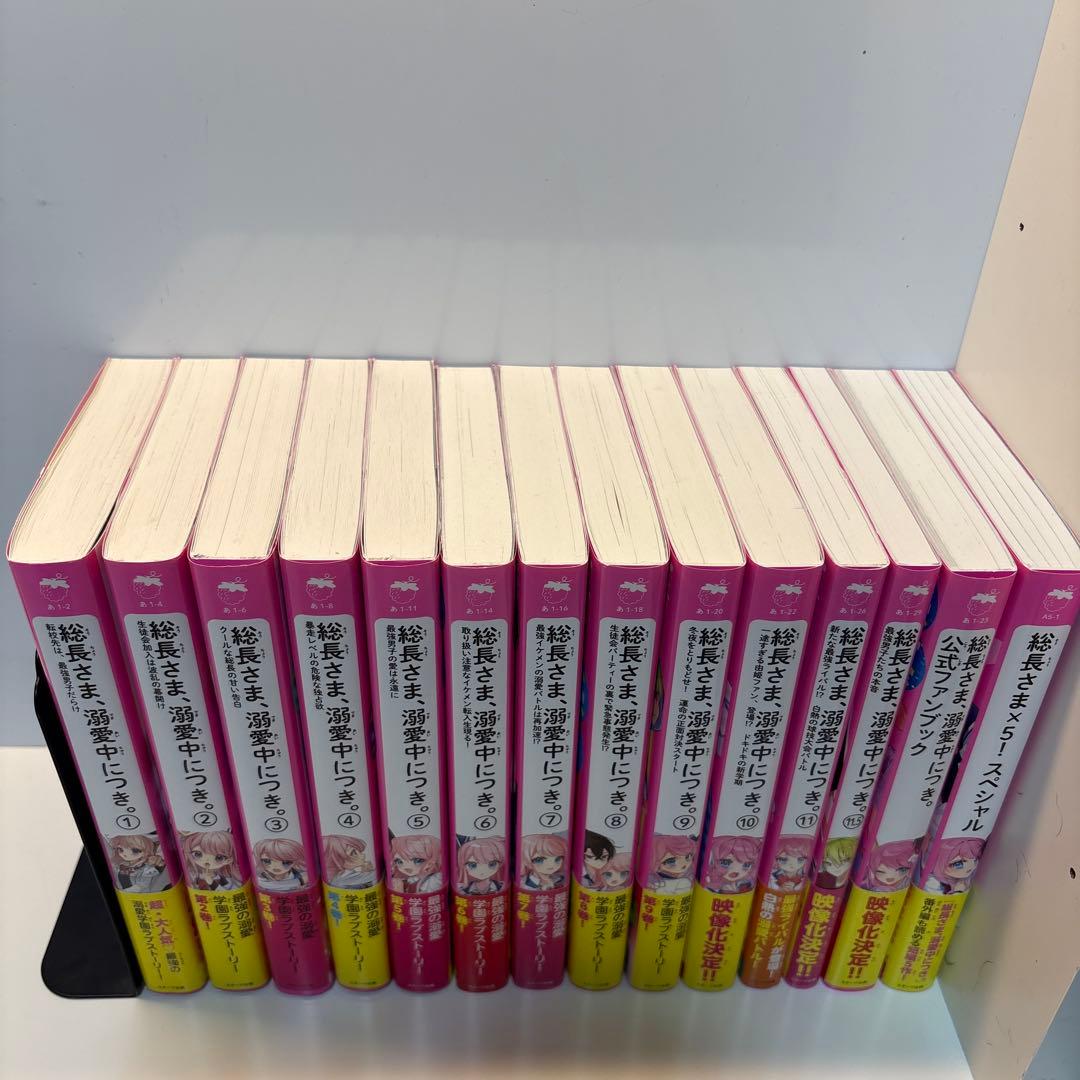 『総長さま、溺愛中につき。』14巻セット✩特典付き✩