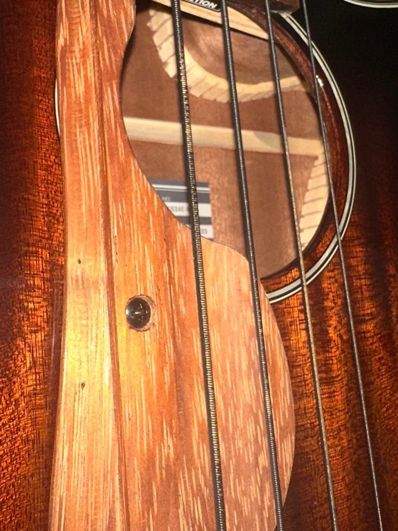 Ibanez AEGB24E-MHS (必ず商品の説明をご覧ください！)