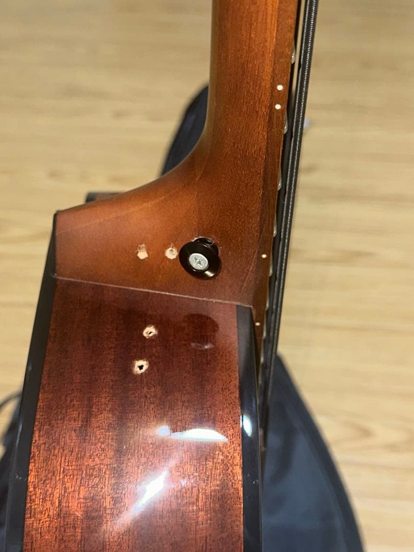 Ibanez AEGB24E-MHS (必ず商品の説明をご覧ください！)