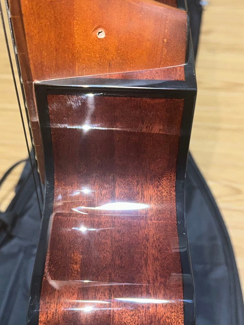 Ibanez AEGB24E-MHS (必ず商品の説明をご覧ください！)