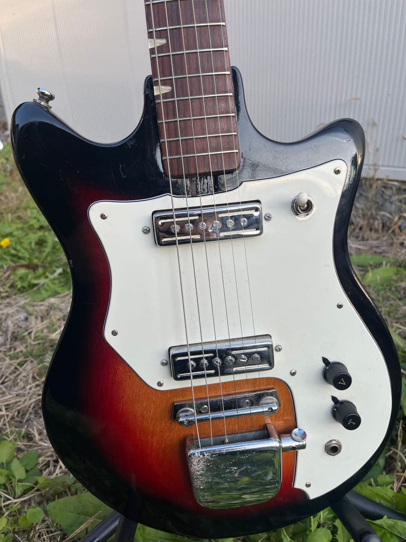 LAKE 日進工業 ビザール