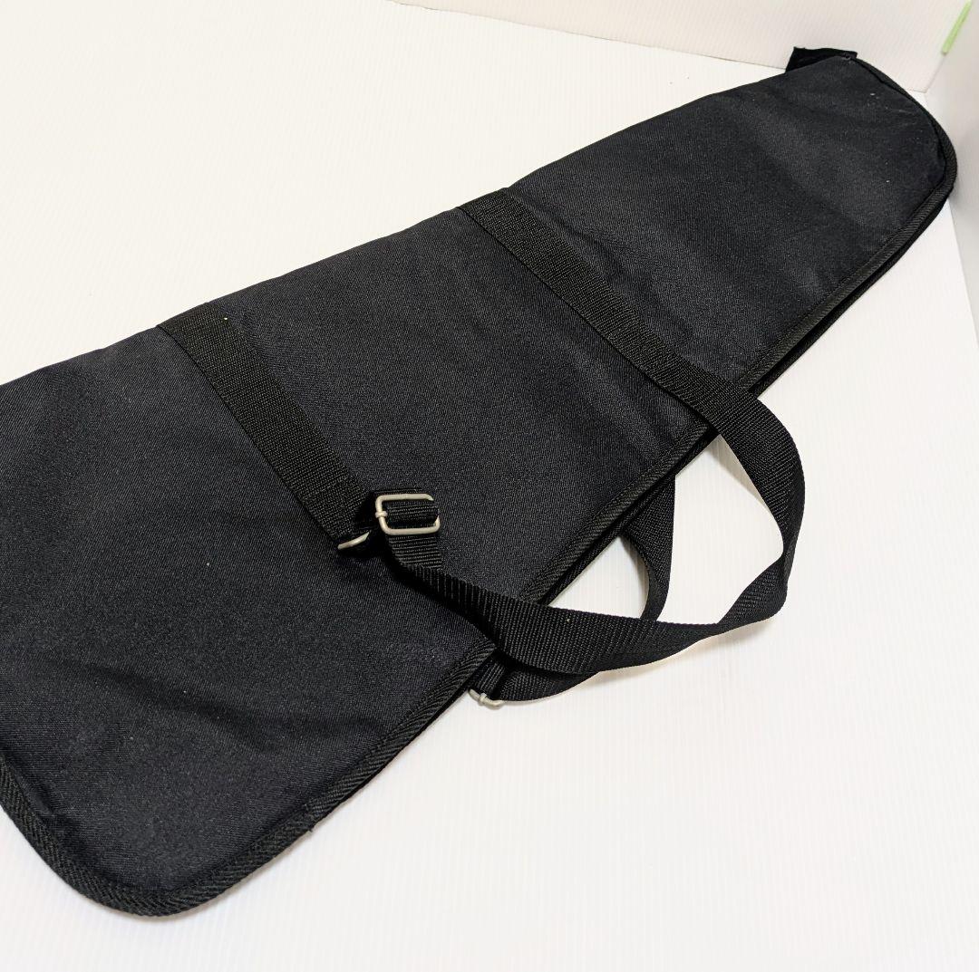 FERNANDES フェルナンデス DIGI-ZO アンプ内蔵エレキギター