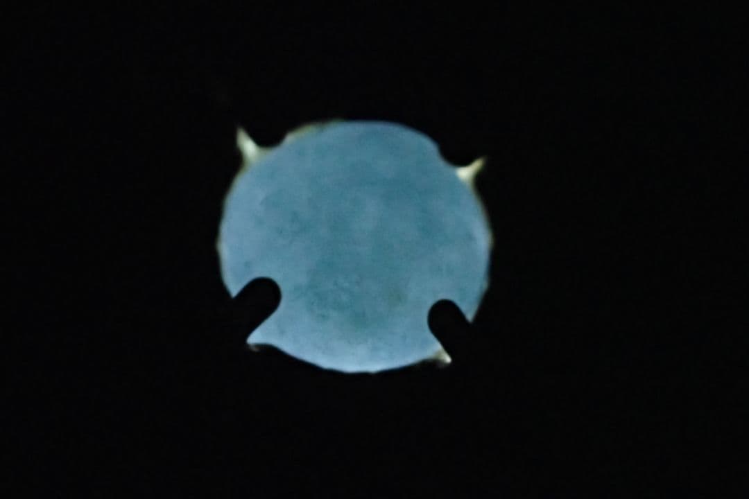 新品　未使用　糸魚川翡翠　入コン沢　青　10金　ペントップ　丸　送料無料