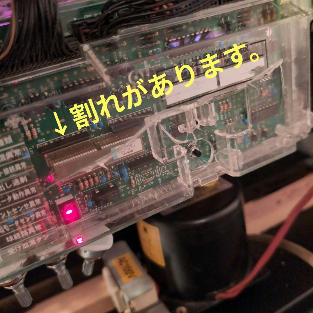 サミー　ゾンビランドサガ　　循環加工済み　訳あり