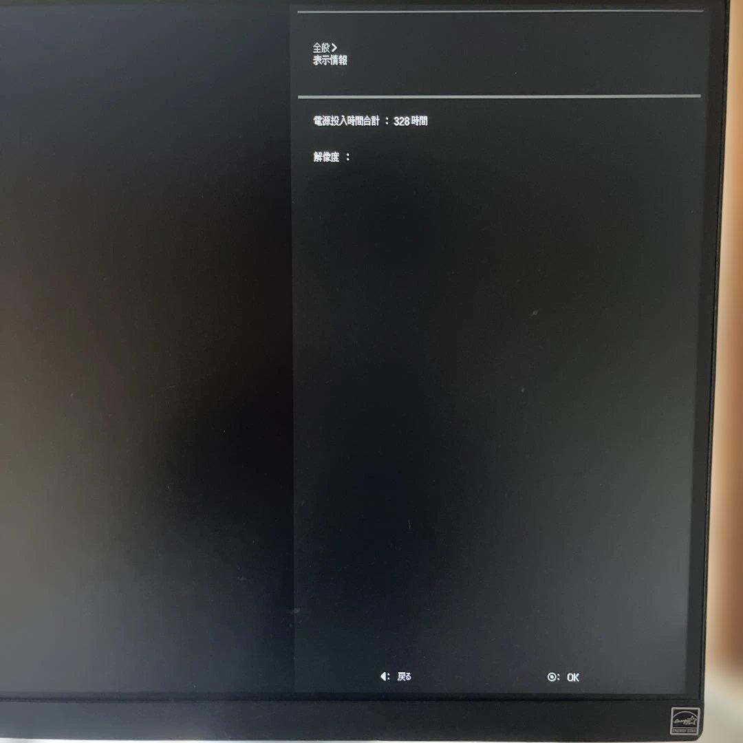 LG 29WP500 パソコンモニター　PC モニター