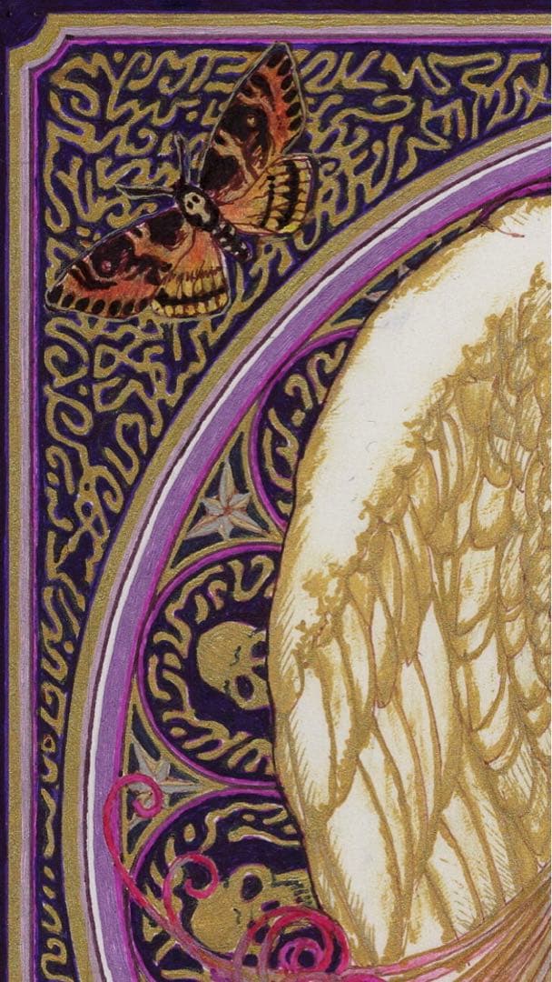 緊縛天使　Butterfly Room 【user_c76ebcf3】