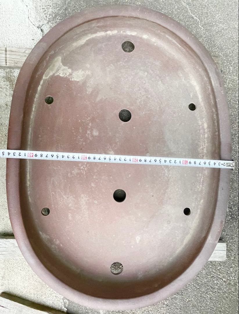 盆栽　鉢　60cm　大型　特大　常滑焼　松泉焼　山秋