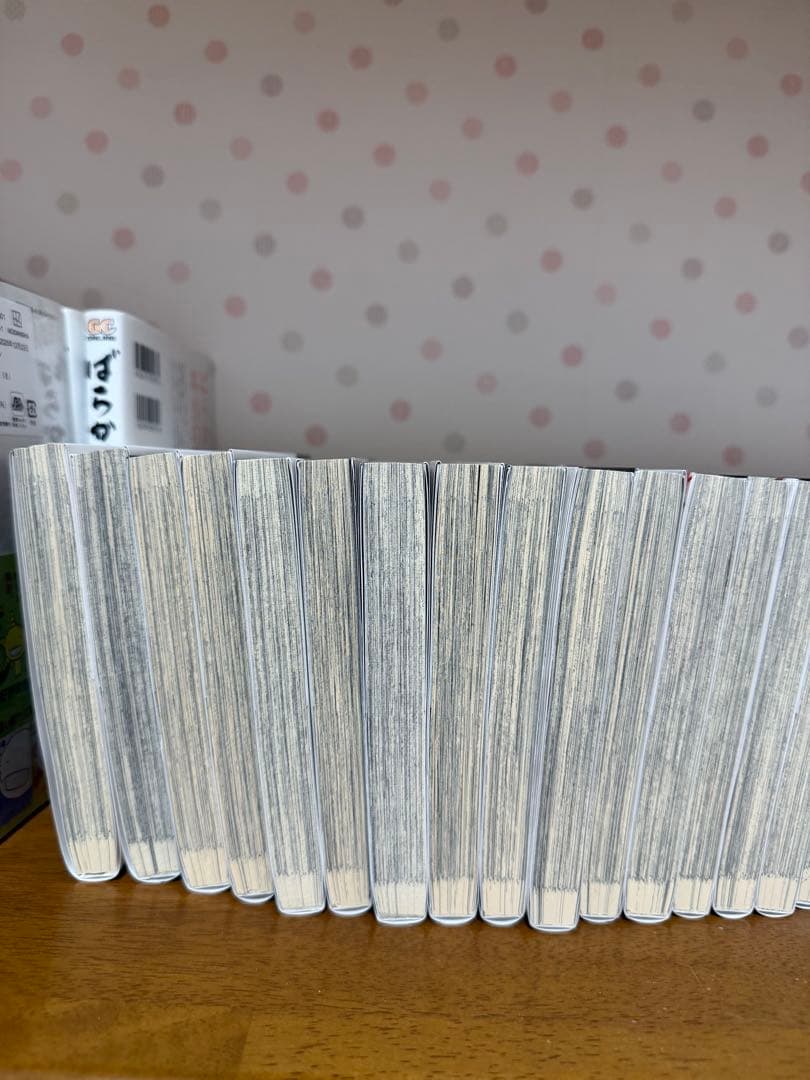 文豪ストレイドッグス 1－26巻 ➕ 関連本3冊