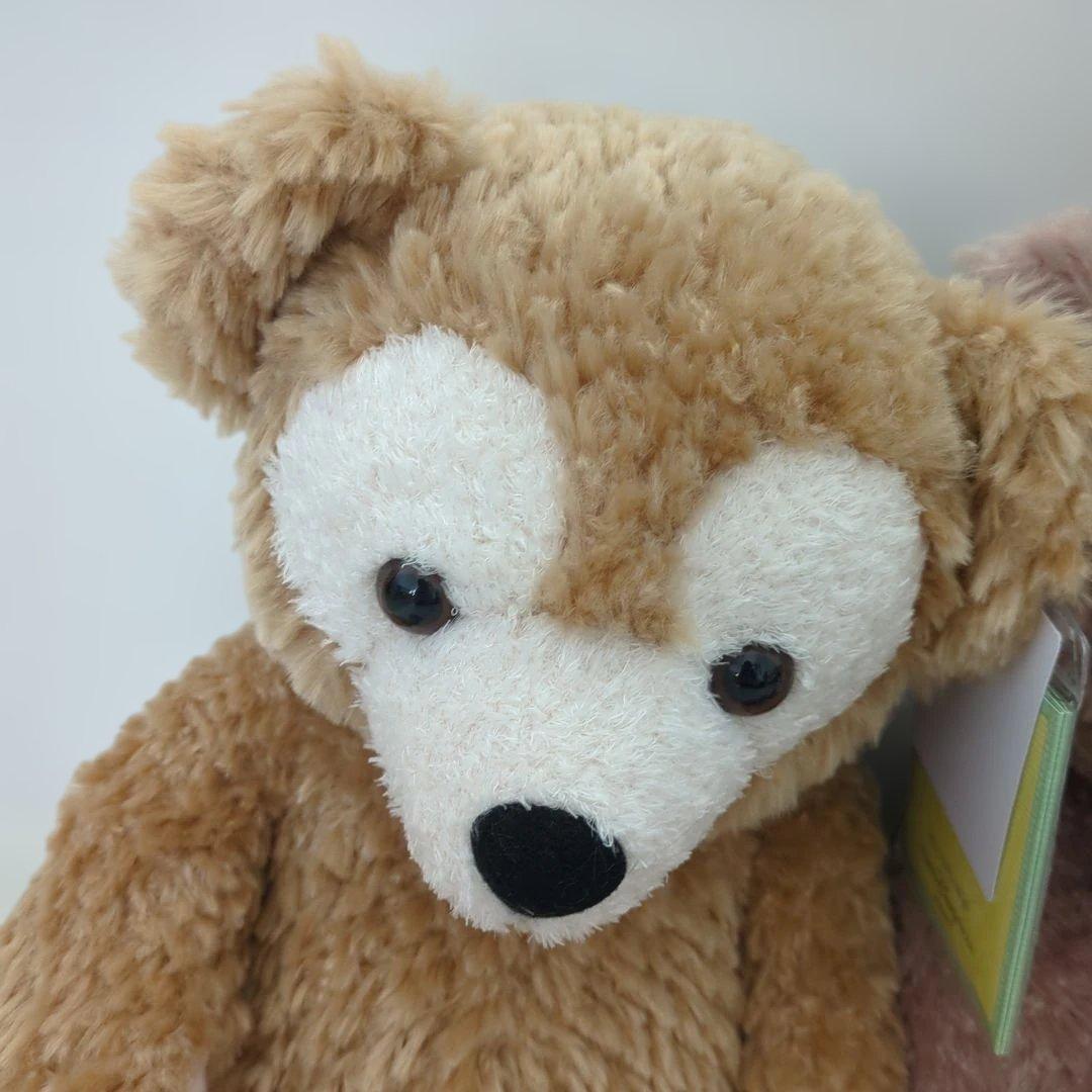 新品タグ付き　ダッフィーとシェリーメイののぬいぐるみ2体セット　ディズニー