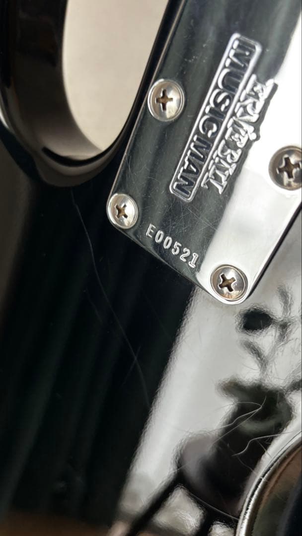 ベース MUSIC MAN Stingray EX