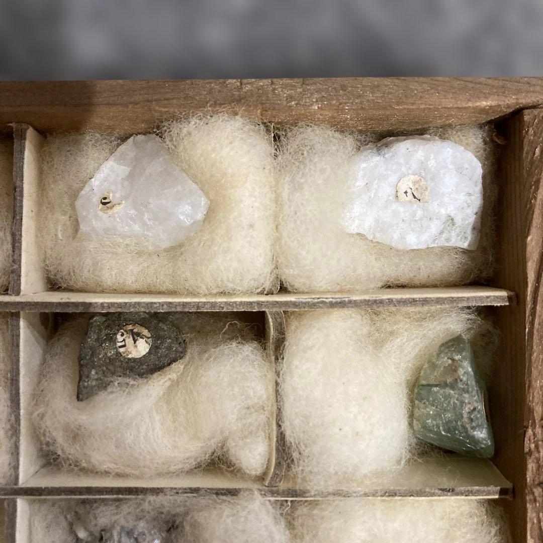 トワカス 木製鉱石標本箱 12個収納