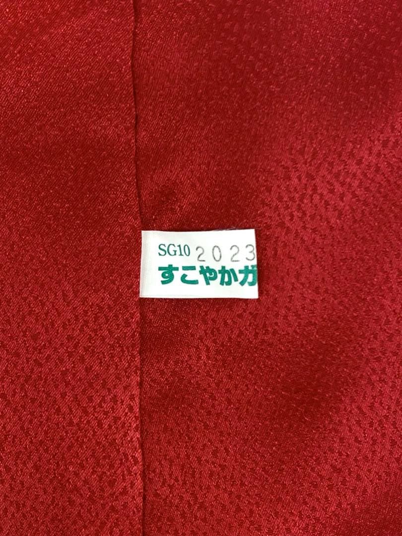 振袖 豪華 銀通し 刺繍 金彩 紋意匠 薔薇 身丈170cm 撥水加工済