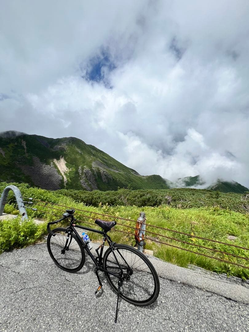 s*i様 FUJI フェザーロードバイク 700C ブラック