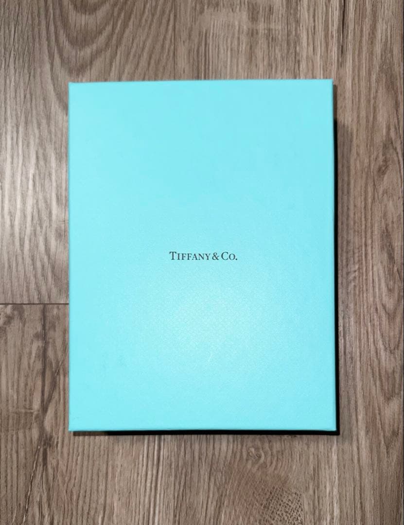 【新品】Tiffany&Co. レザー首輪 Sサイズ