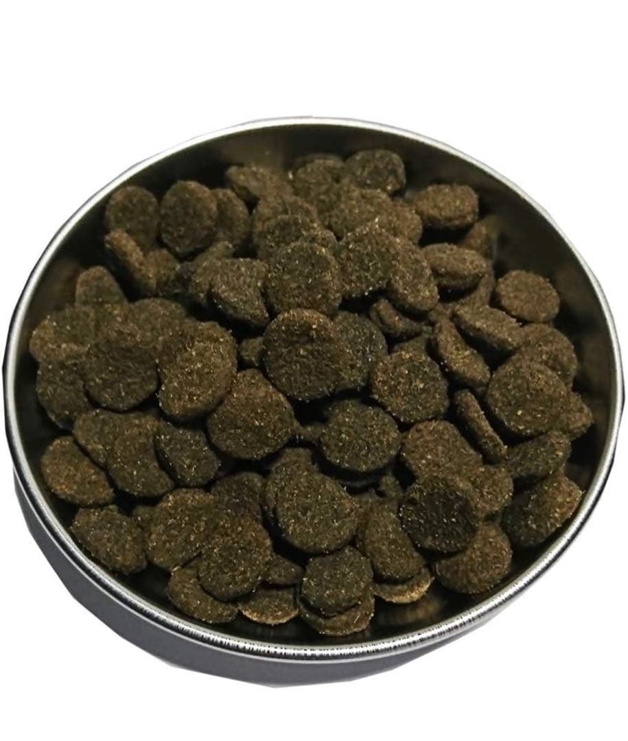 R プロフ必読！AZ アゼット ラム＆ポテト10Kg✖️2袋