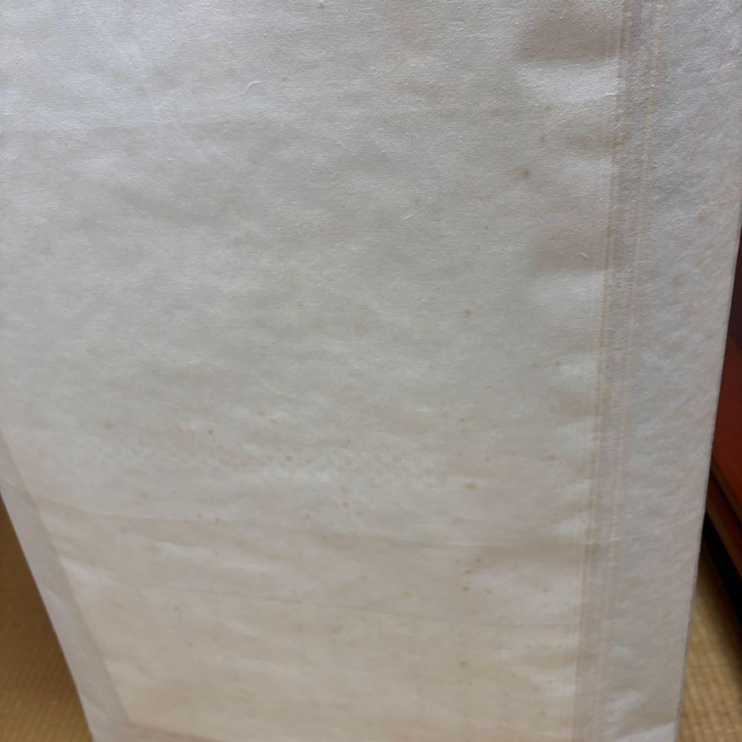 安城御影　掛け軸　親鸞聖人　木箱付き　送料無料