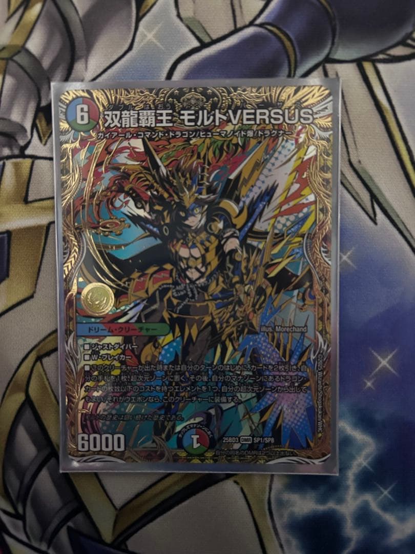 モルトVERSUS シク