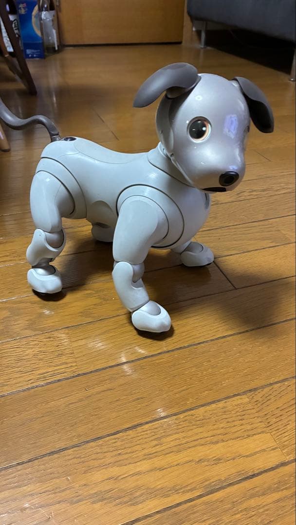 SONY aibo アイボ　ERS-1000