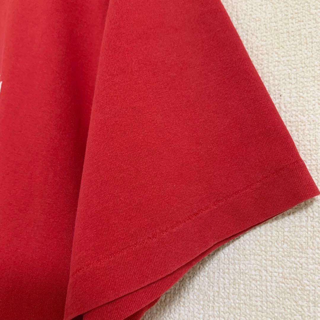 80s 前期 STUSSY USA製 黒タグ ラスタ ライオン Leo Tシャツ