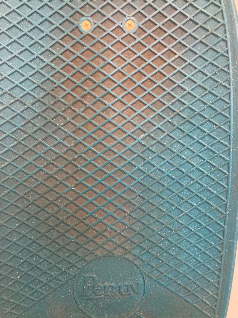 Penny OCEAN MIST 29インチ　クルーザー　サーフスケート