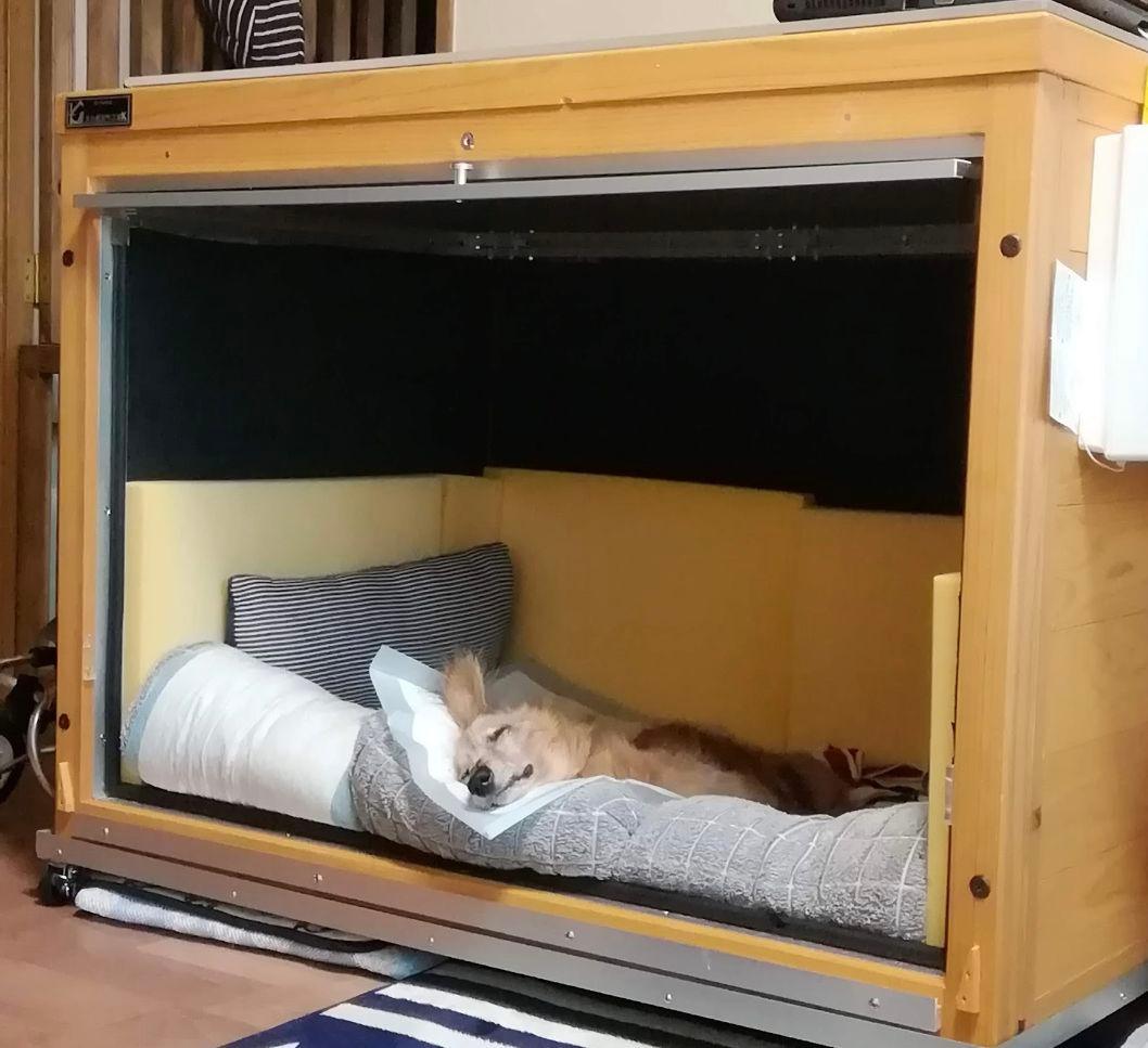 犬小屋製作工房K 大型犬用ケージ