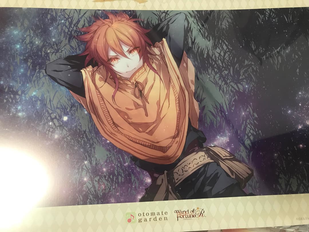 ワンドオブフォーチュン オトガ ランチョンマット