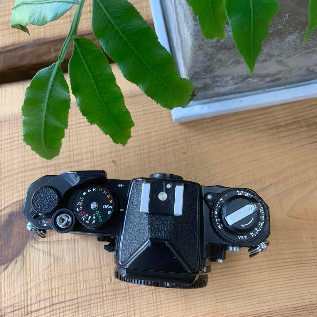 フィルムカメラ Nikon FE