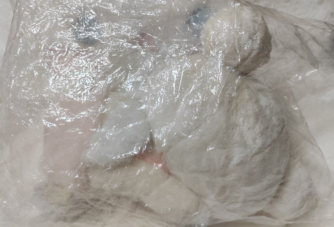 コリラックマ すやすや天使の寝顔ぬいぐるみ