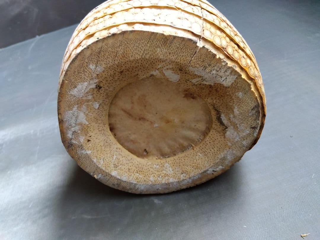 竹製　花入　根付き