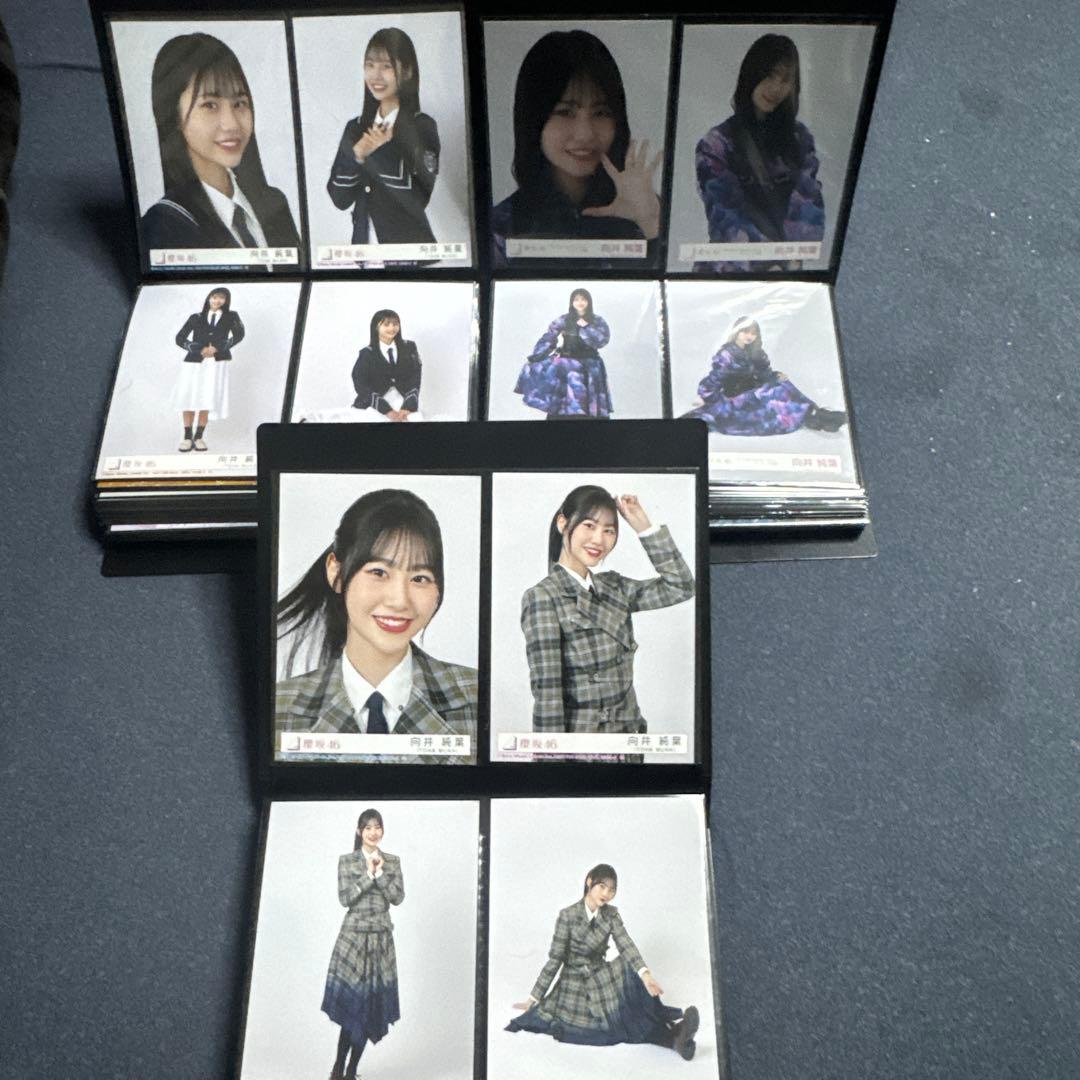 向井純葉　生写真フルコンプセット　最初期から2025/9まで95セット