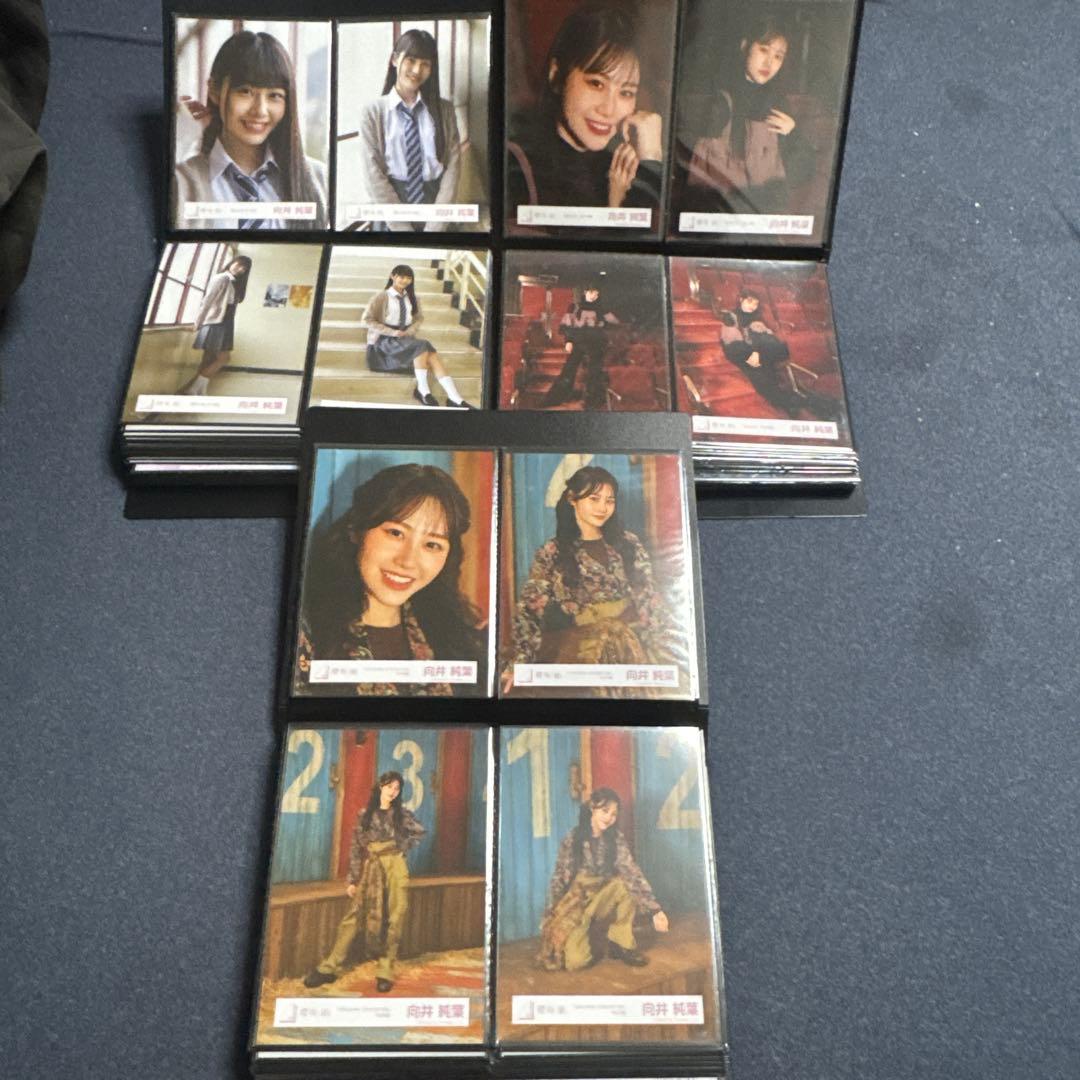 向井純葉　生写真フルコンプセット　最初期から2025/9まで95セット